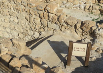 Nicht nur sieben Tage